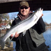Legend Outdoors guided trips to Lake Michigan Harbors photo 3 - King fish