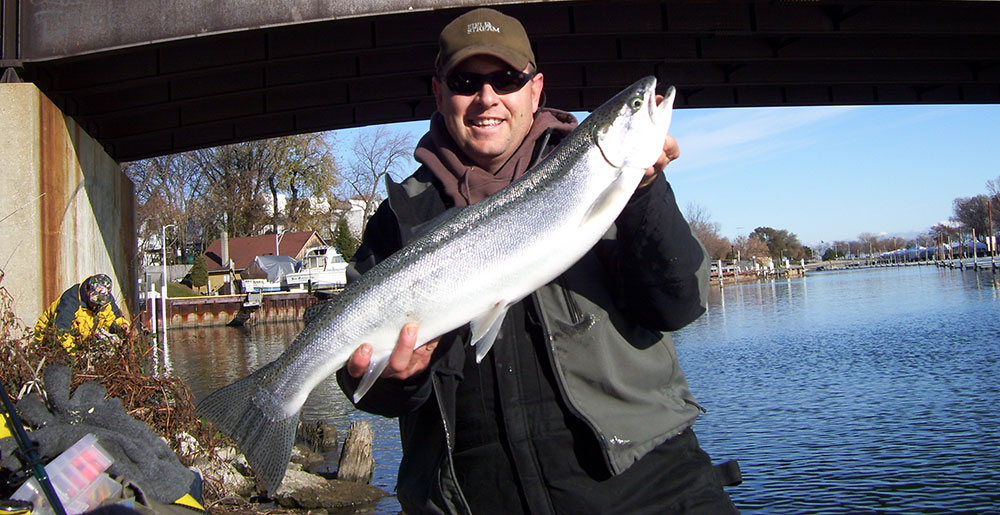 Legend Outdoors guided trips to Lake Michigan Harbors photo 3 - King fish
